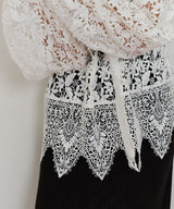 総レースBIGモチーフレース衿ブラウス　