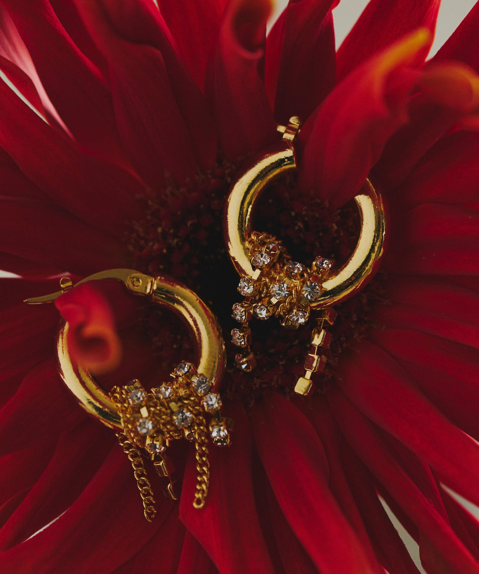 アクセサリー lupinus0908 loni】Lupinus Bijou Chain Pierce – LA BELLE ETUDE online store