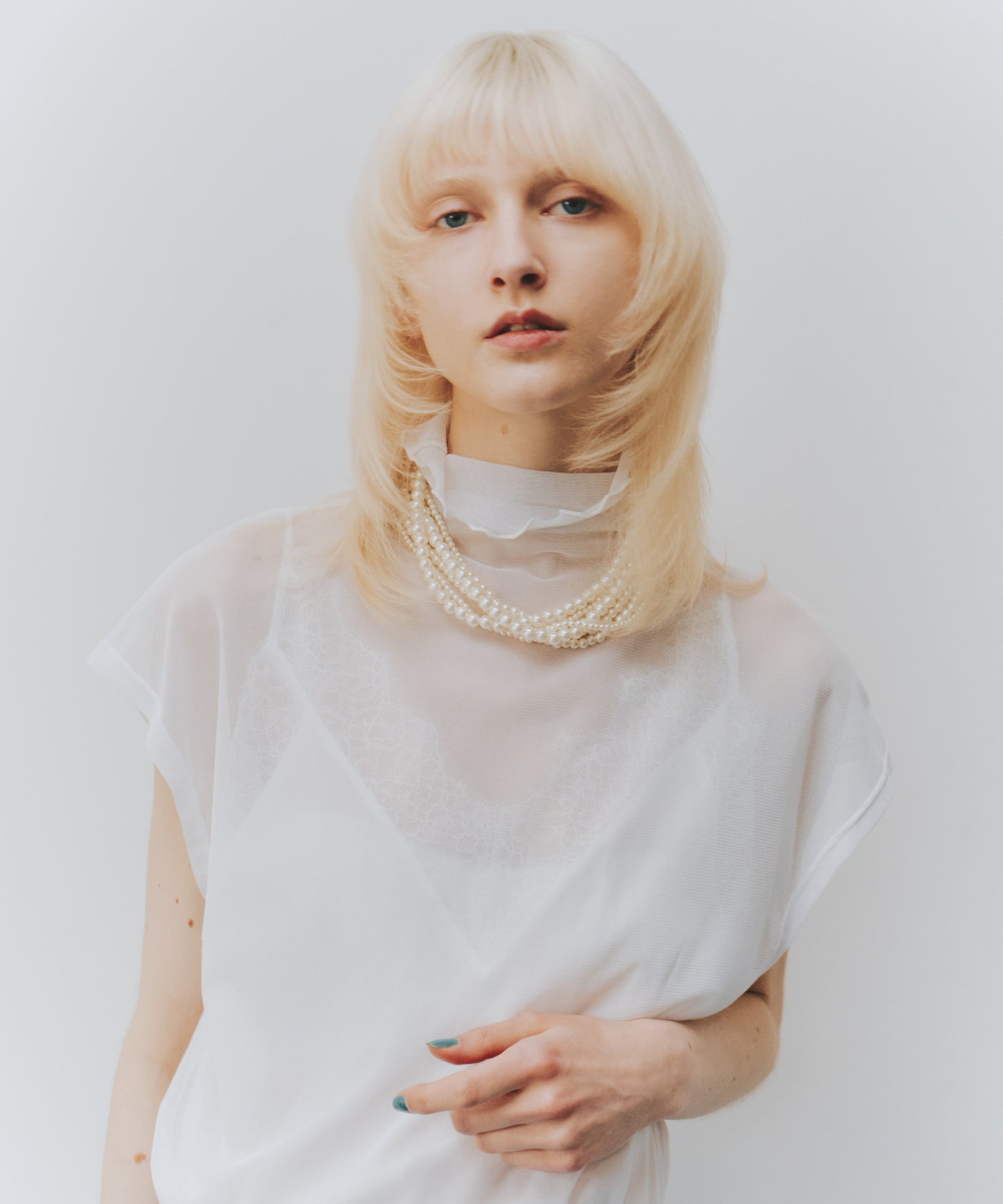 チュール半袖タートル – LA BELLE ETUDE online store