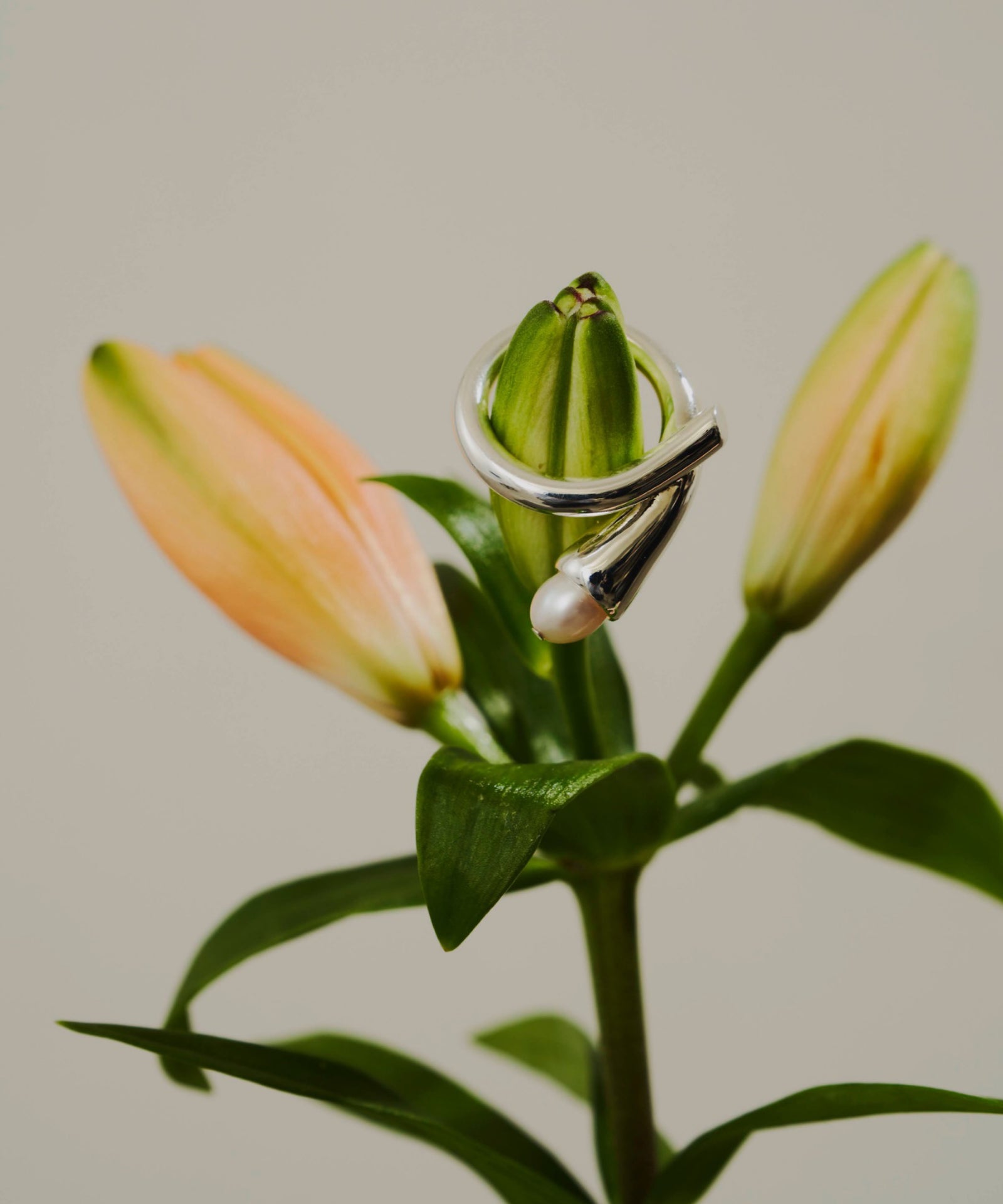 loni】bud pearl ring/パールデザインリング – LA BELLE ETUDE online